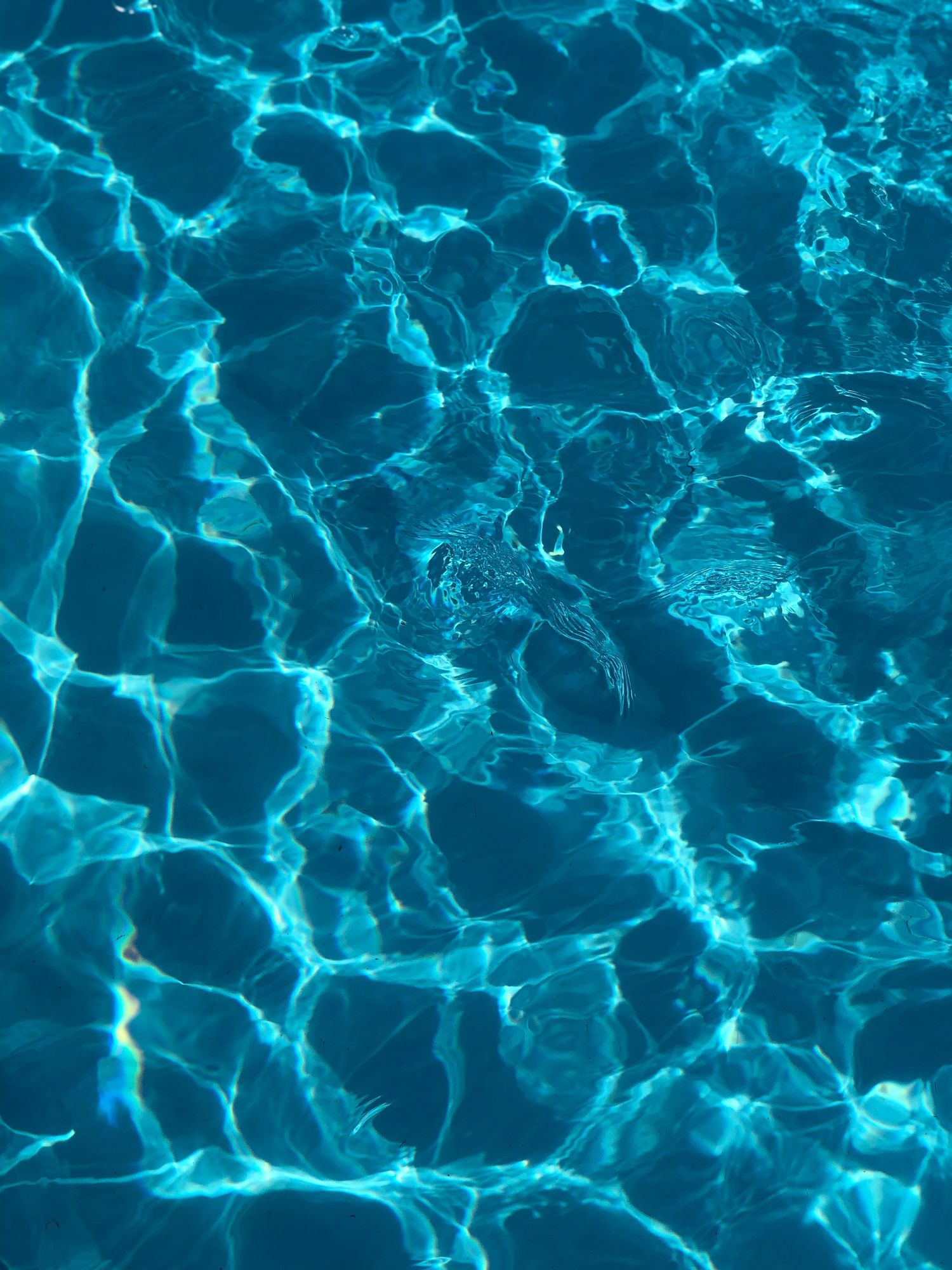 Crystal clear pool water after professional chemical balancing